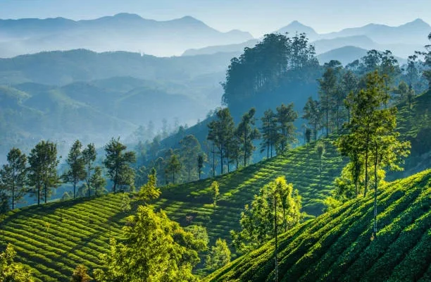darjeeling tour package