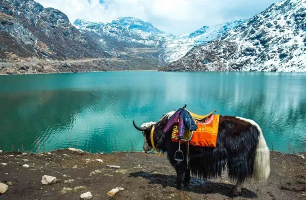 Sikkim sightseeing tour package